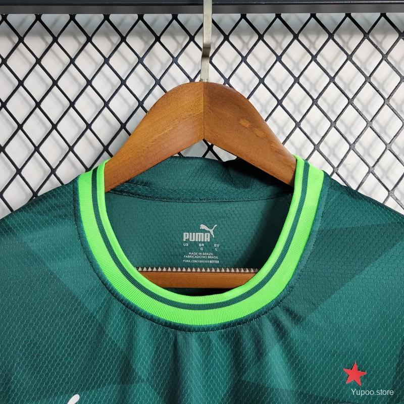 23/24 Palmeiras Home kit - Fan version